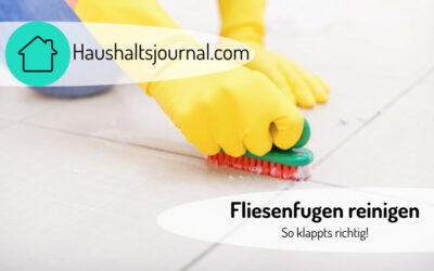 Fliesenfugen reinigen