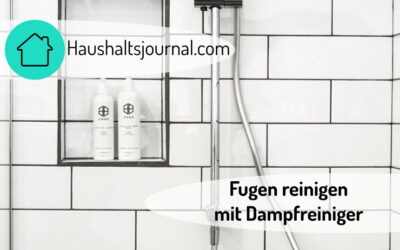 Fugen reinigen mit Dampfreiniger