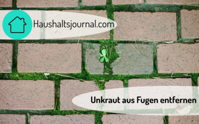 Unkraut aus Fugen entfernen